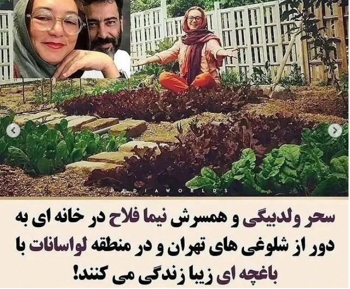 خانه سلبریتی ها