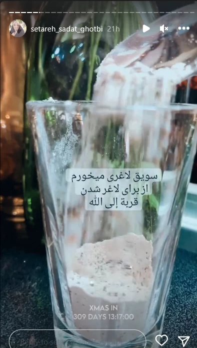 ستاره سادات قطبی
