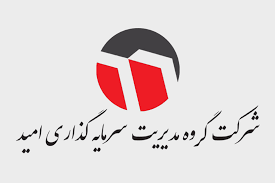 گروه مدیریت سرمایه گذاری امید