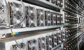 کشف برق‌خوار اعظم در ایران/ راز مرموز پرده‌برداری شد!