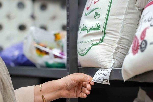 برنج وارداتی دولتی؛ راهکار تازه برای مقابله با قیمت‌های آزاد