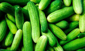 قرعه گرانی این بار به نام خیار افتاد ! 