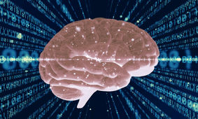 آنچه یاد می‌گیریم چگونه در مغز ذخیره می‌شود؟
