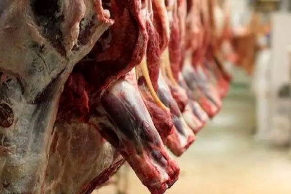 دریایی از گوشت در راه ایران