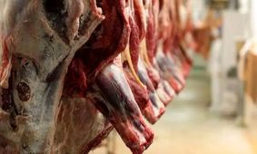 جدیدترین قیمت گوشت برزیلی اعلام شد