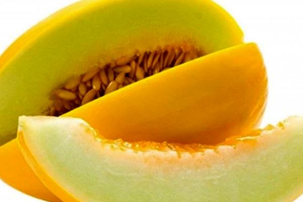 شگفتی در بازار کاشان؛ خربزه‌های ۲۵ کیلویی +تصاویر
