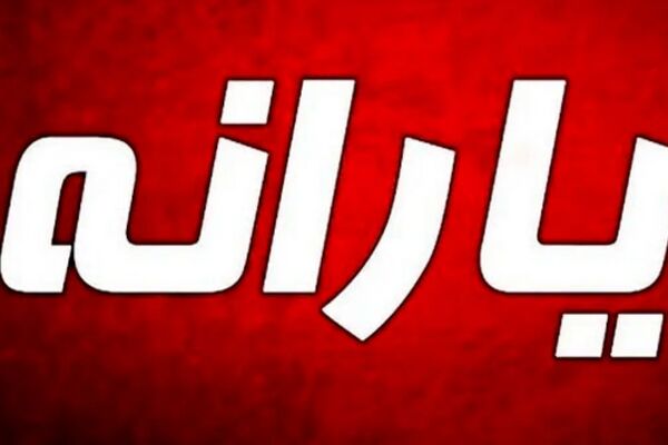 یارانه و کالابرگ این خانوارها به زودی سه برابر می شود 