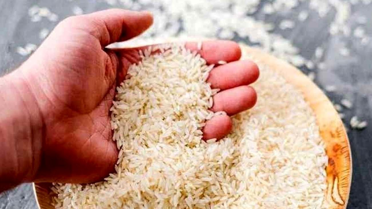 موج ارزانی برنج در راه است؟