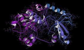 هوش مصنوعی متا در دو هفته ساختار سه‌بعدی 600 میلیون پروتئین را به دست آورد
