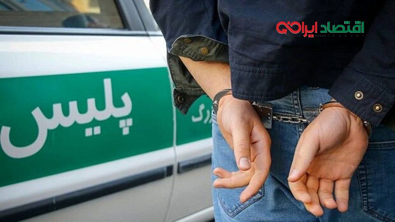 کلاهبرداری در یک دفتر هواپیمایی / مدیرعامل بازداشت شد  + جزییات