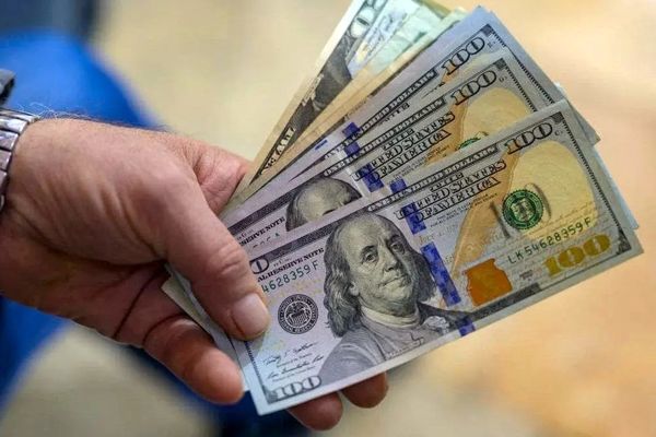 پیش‌بینی شوکه‌کننده از قیمت دلار در زمستان ۱۴۰۴