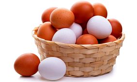 قیمت هرشانه تخم مرغ  مشخص شد / عرضه با نرخ های بالاتر برخورد خواهد شد 