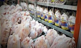 اعتراض امام جمعه ارومیه به بازار گوشت مرغ  