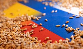 صدقه 500 هزار تنی روسها برای کشورهای فقیر