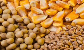 تخصیص مکانیزه نهاده های دامی