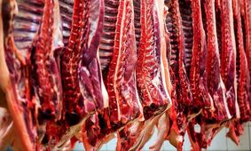 قیمت گوشت قرمز امروز ۸ آبان 1404 + جدول