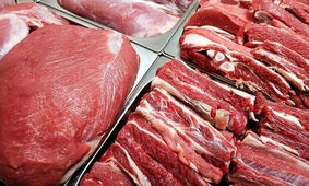 گوشت با قیمت جدید به بازار آمد 