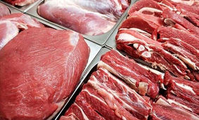 گوشت را گرانتر از این قیمت نخرید
