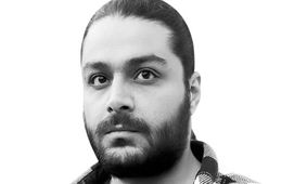 شتاب در فیبر، سکون در سیاست