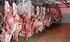 قیمت جدید گوشت قرمز در بازار / گوشت گوسفندی ارزان می‌شود؟!