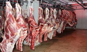 قیمت جدید گوشت قرمز در بازار / گوشت گوسفندی ارزان می‌شود؟!