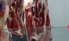 جدیدترین قیمت گوشت قرمز امروز ۳ مهر 1404 + جدول