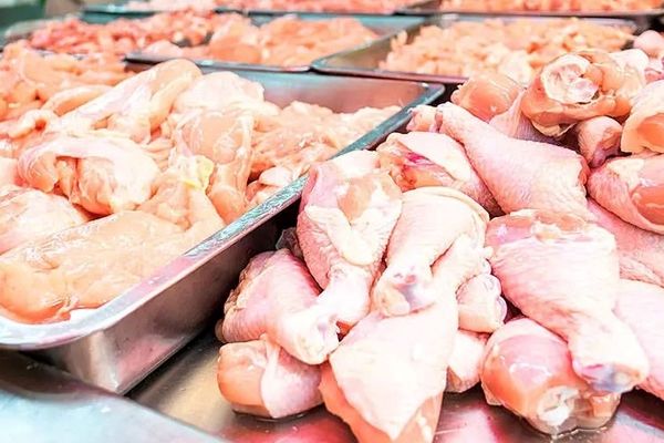 پشت پرده گرانی مرغ فاش شد؛ دعوای عجیب دو قوه کشور!