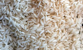 خبر بد از بازار برنج / فوری برای متقاضیان !
