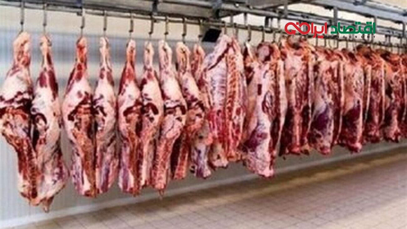خبر خوش برای خریداران گوشت قرمز/ ارزانی در راه است!