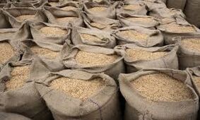 ترمز قیمت برنج بریده شد!