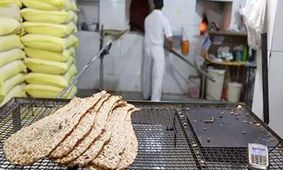  ۱۳۰ نانوایی در پایتخت نقره داغ شدند 