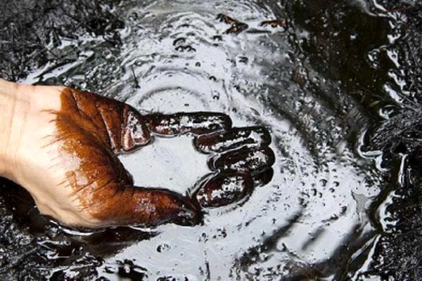 بررسی فوری وضعیت صادرات نفت ایران!