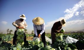 آب تهران حراج شد! هدررفت دوماهه مصرف آب تهرانی‌ها