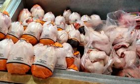 مرغ را از این قیمت بالاتر نخرید!