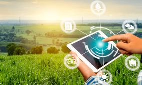 درآمد 181 میلیارد تومانی دانش بنیان ها برای کشاورزان