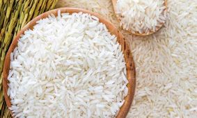 اعلام رسمی/ برنج ایرانی با افت عجیب قیمت روبرو شد!