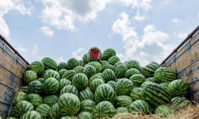 هزینه‌های سنگین شب یلدا؛ سفره‌ای که جیب‌ها را خالی می‌کند/سفره یلدایی چقدر گران شده است؟