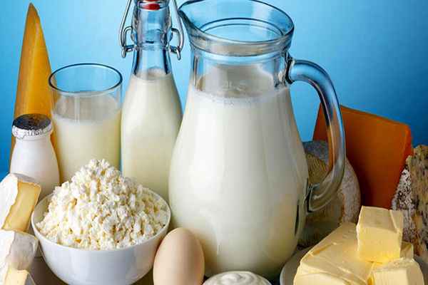 لبنیات چقدر گران شد؟