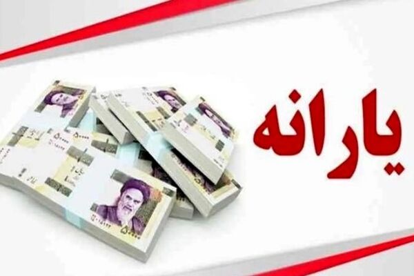 حذف یارانه نقدی 27 میلیون نفر/ راهکارهای جلوگیری از این تصمیم برای خانواده‌ها