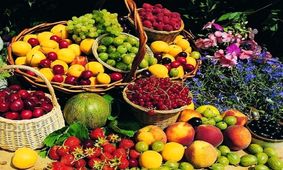 قیمت میوه در عید قربان تغییر نمی کند 