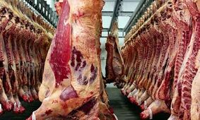 دستگیری فروشنده گوشت های فاسد / 3 میلیارد ارزش این گوشت ها است + جزییات