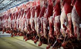 تولید گوشت قرمز در کشور افزایش یافت/ تهران همچنان در صدر تولید