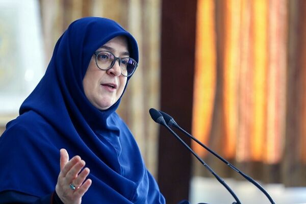 مهاجرانی: رسایی سرباز نظام نیست؛ ظریف سرباز نظام است