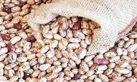 جدیدترین تغییرات در قیمت لوبیا چیتی