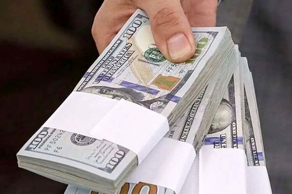 ۷ سال نسخه‌پیچی ارزی؛ دلار همچنان افسارگسیخته!