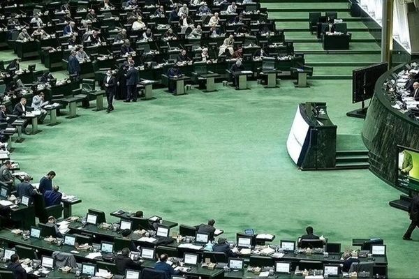 فریاد جنجالی نماینده مجلس: گرانی روغن و تخم‌مرغ علت اصلی انفجار معیشت!