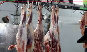 جدول قیمت گوشت قرمز امروز ۱۶ مهر 1404؛ آخرین نرخ‌ها را ببینید