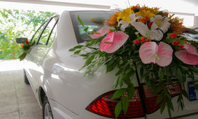 غوغای عروس و داماد اصفهانی در وسط خیابان / فیلمی که دنیا را بهم ریخت !