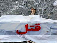 قتل فجیع یک دکتر با ضربات تبر شهرک هما تهران / قاتلان نقابدار فرار کردند