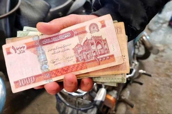 قیمت افغانی امروز پنجشنبه 30 بهمن 1404